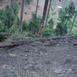 प्रतीकात्मक तस्वीर