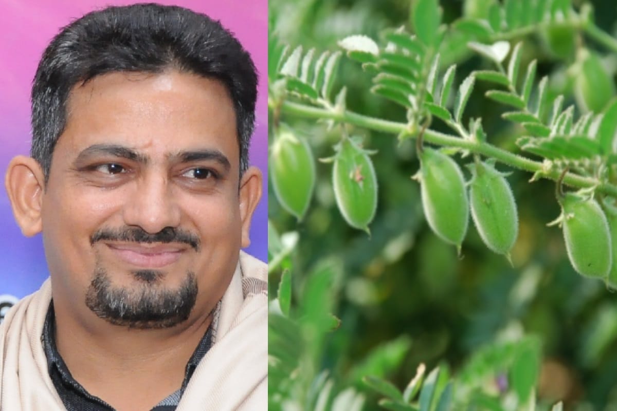 Good news for farmer: keep away insecticides from gram corp to get  much production