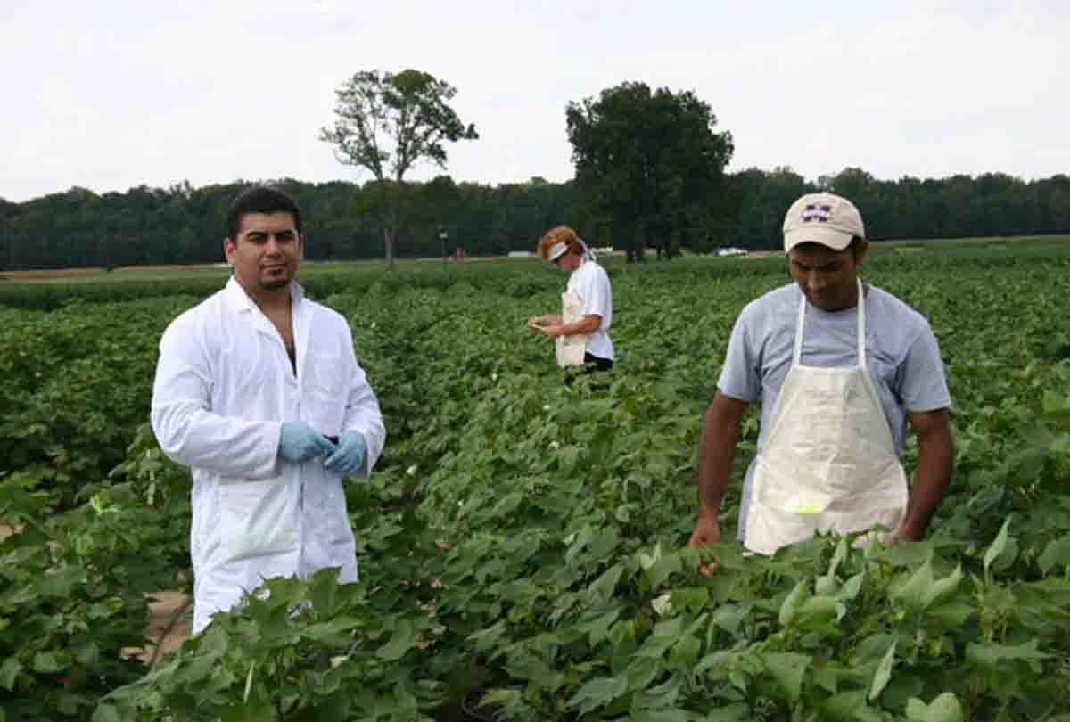 students going foreign to learn agriculture