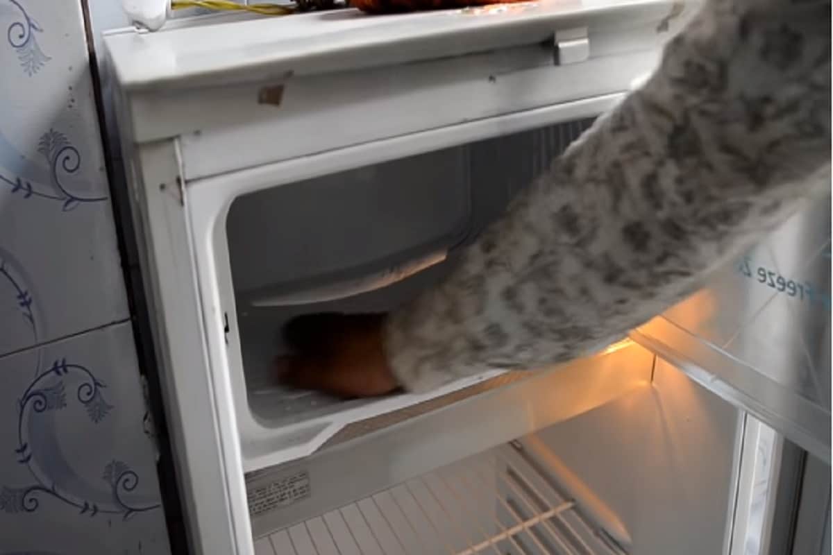 Buy Second Hand TV, Fridge And Electronic Items at Cheapest Price Delhi Maujpur Market