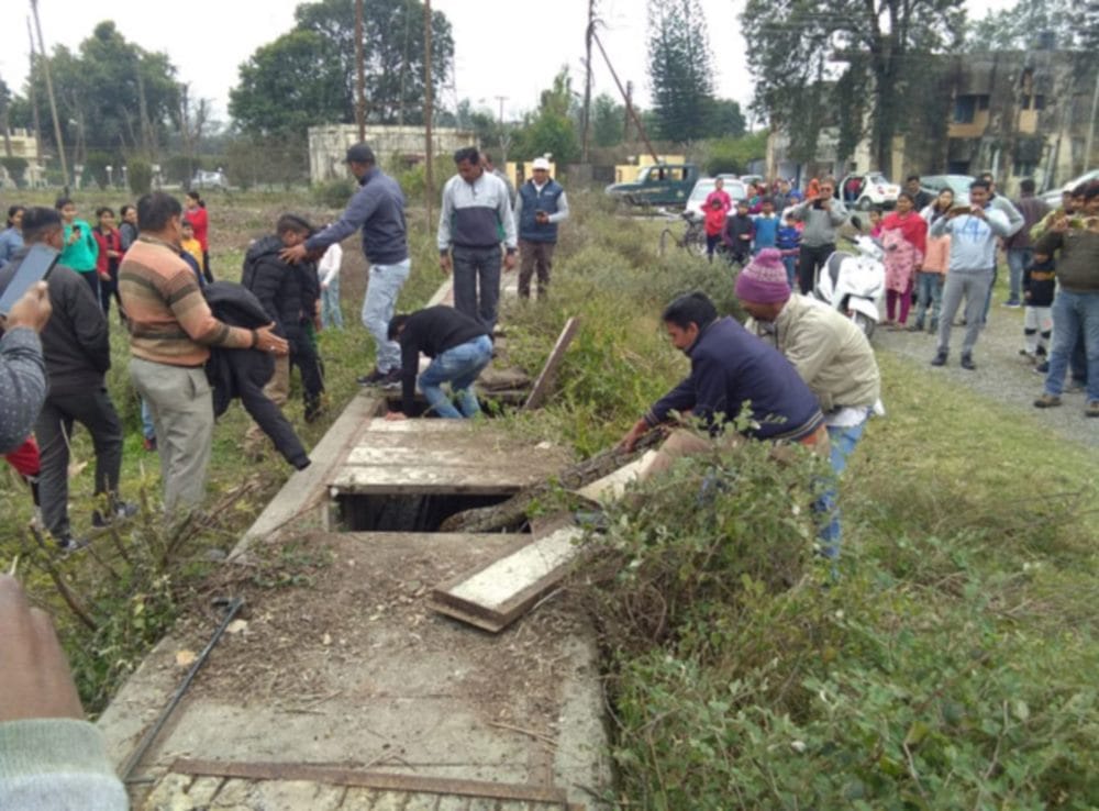 giant python rescued in rishikesh Hydel