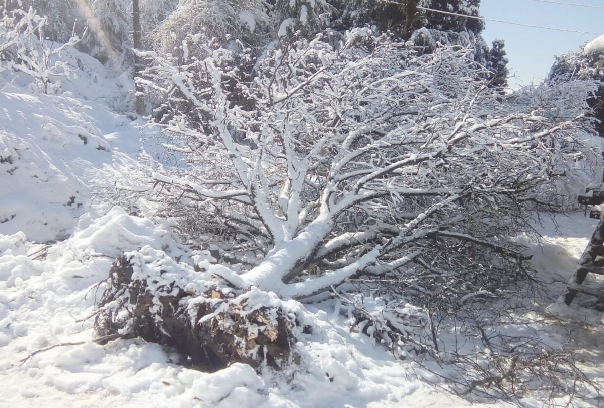 fresh snowfall recorded in himachal on 02 february
