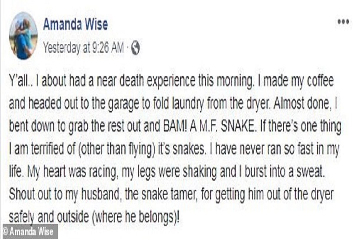 florida woman finds Snake in washing machine dryer news goes viral 'near-death experience'