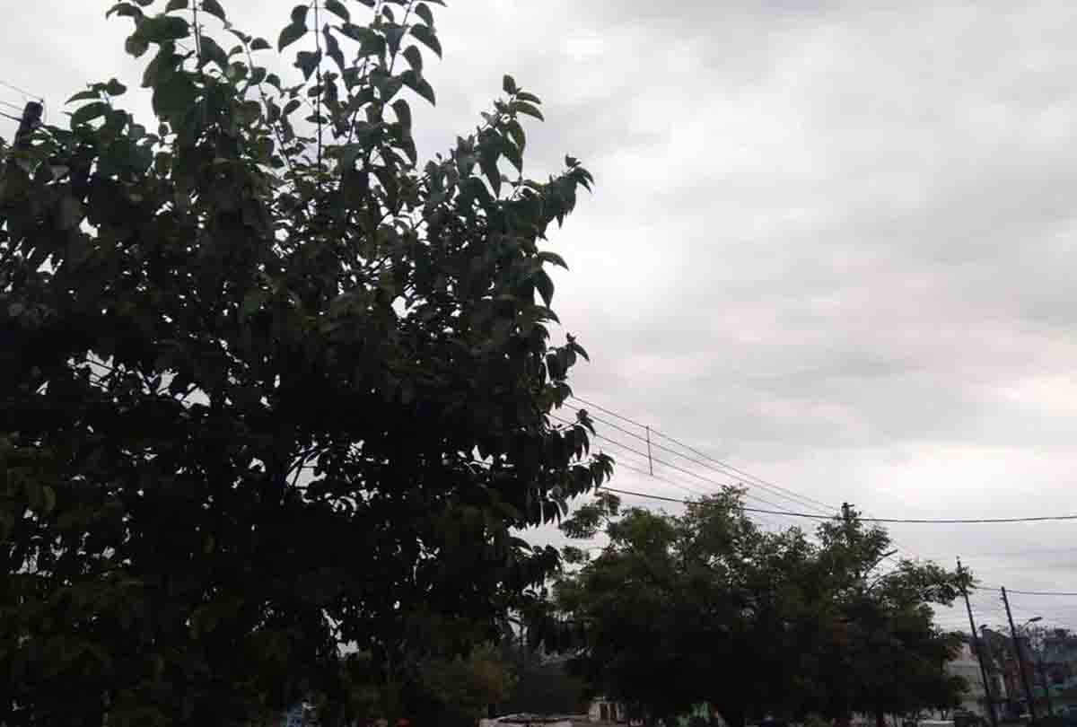 weather department warns these cities of up, rain in winter season