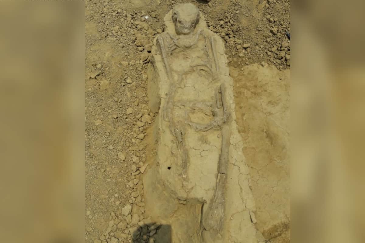 Sinauli of baghpat district the excavation the picture of the ancient grave is seen