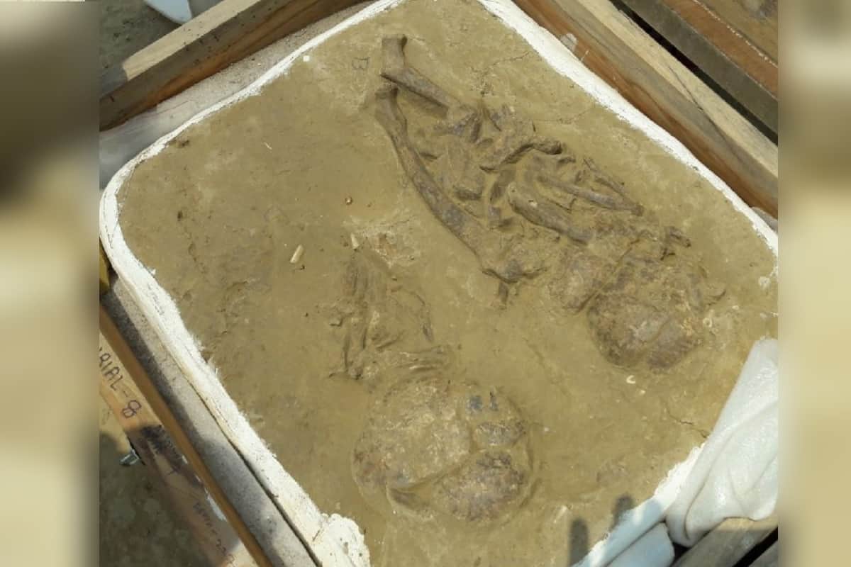 Baghpat News: Actor Manoj Vajpayee has presented the full story of Sinauli's history