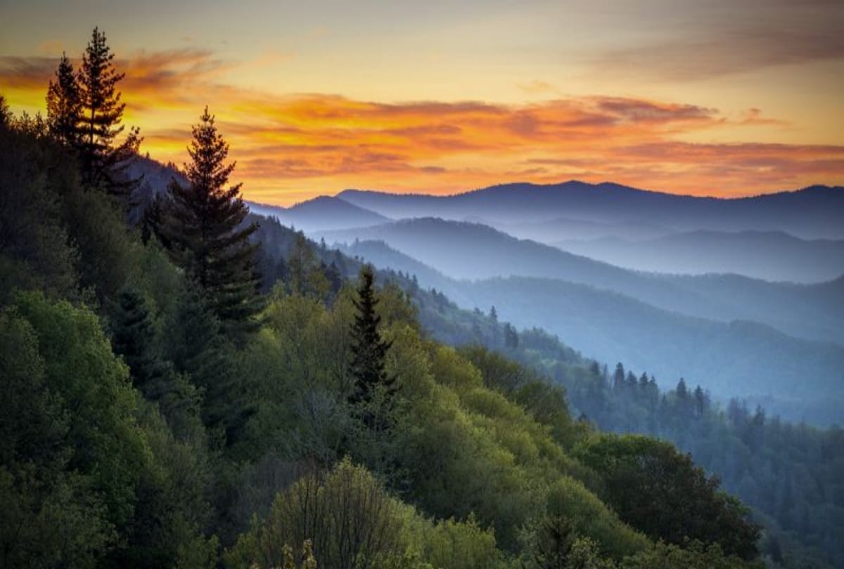 Raleigh the shining star of North Carolina