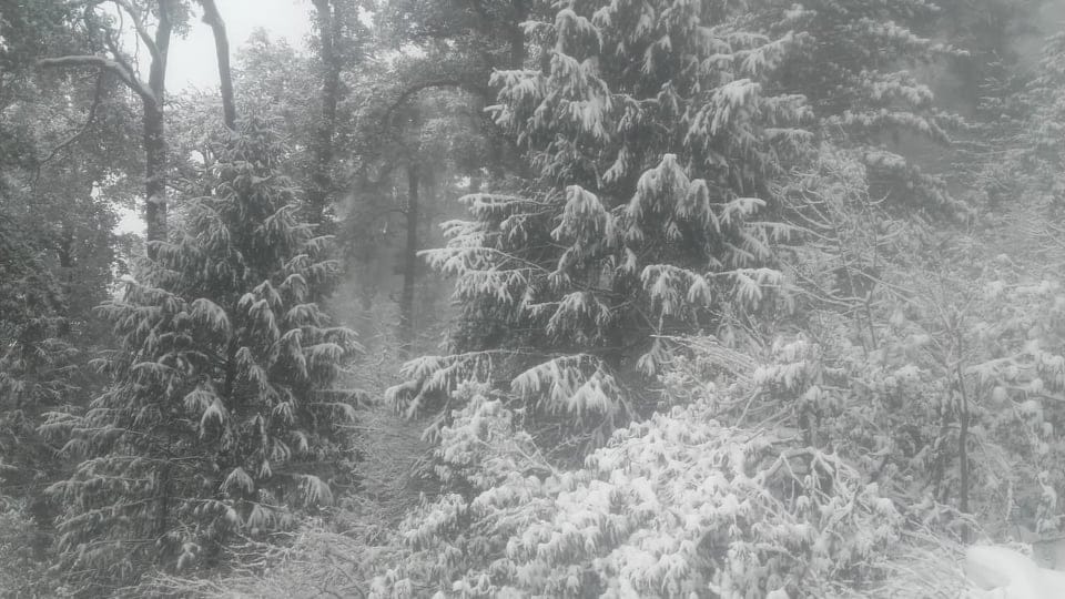 Bitter cold weather again after Snowfall in uttarakhand uttarakhand