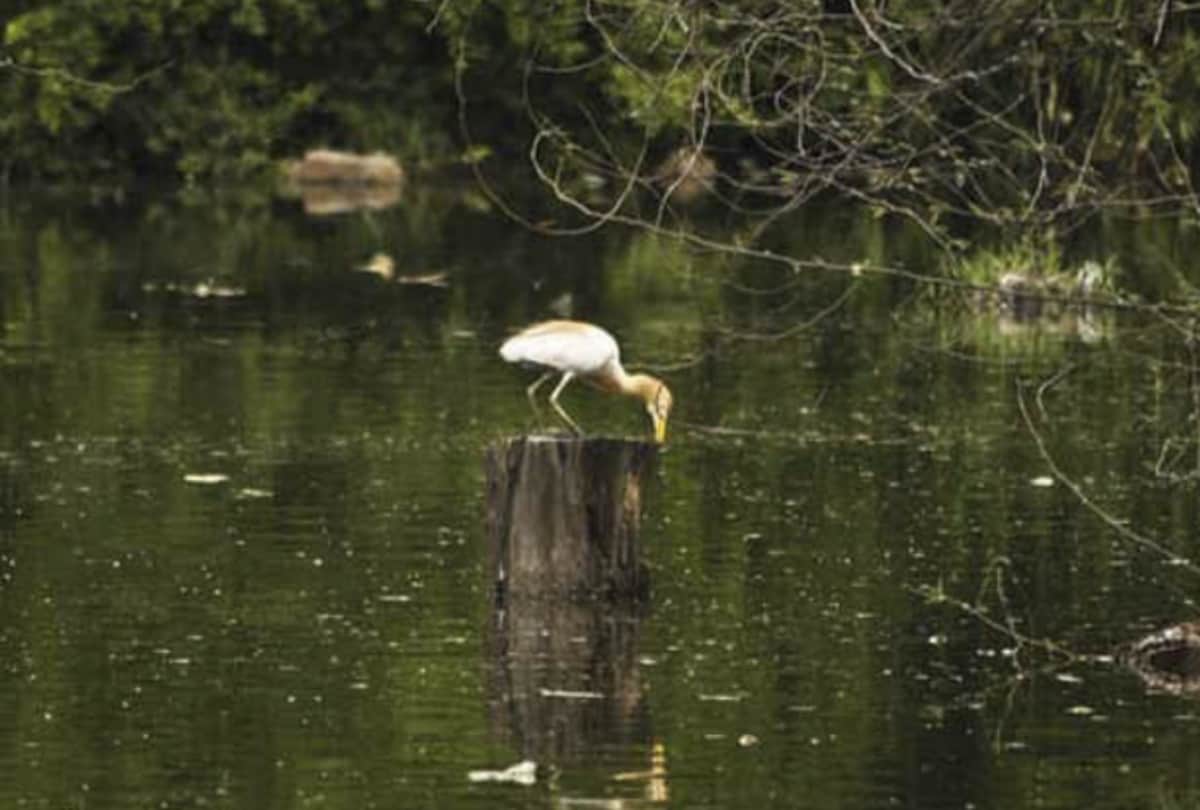 delhi best places you must visit