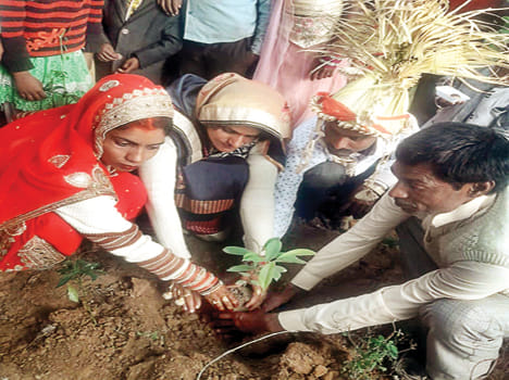 Sparrow nest given to Baramati in farewell
