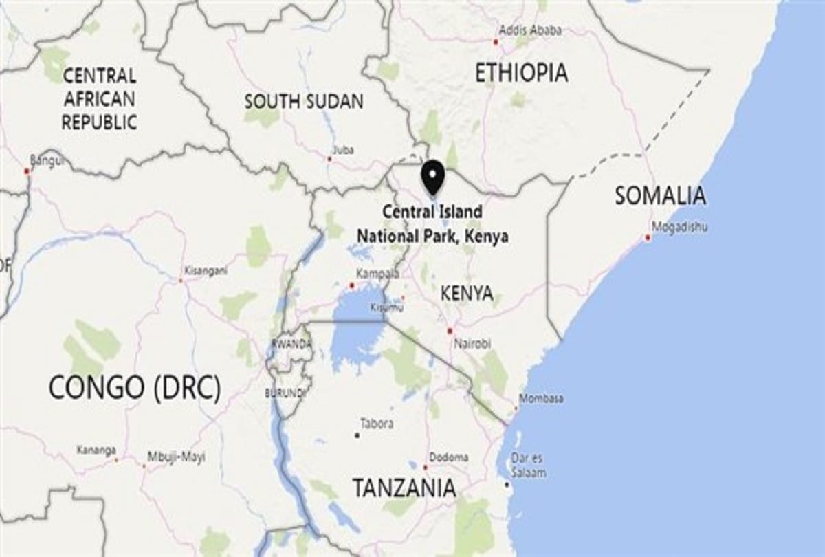 Fossil of smallest monkey of World identified in Kenya