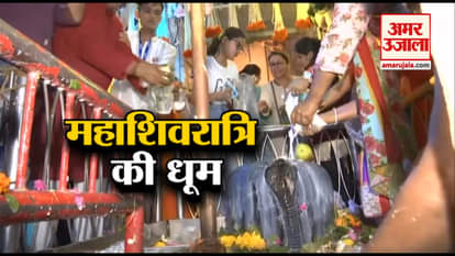 Maha Shivratri 2019: Devotees throng temples to offer prayers