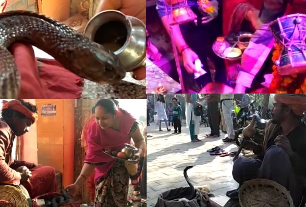 mahashivratri celebration in uttar pradesh.