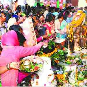Pompously celebrated Shivratri