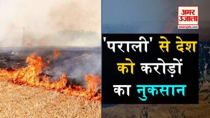 burning parali cause economical loss