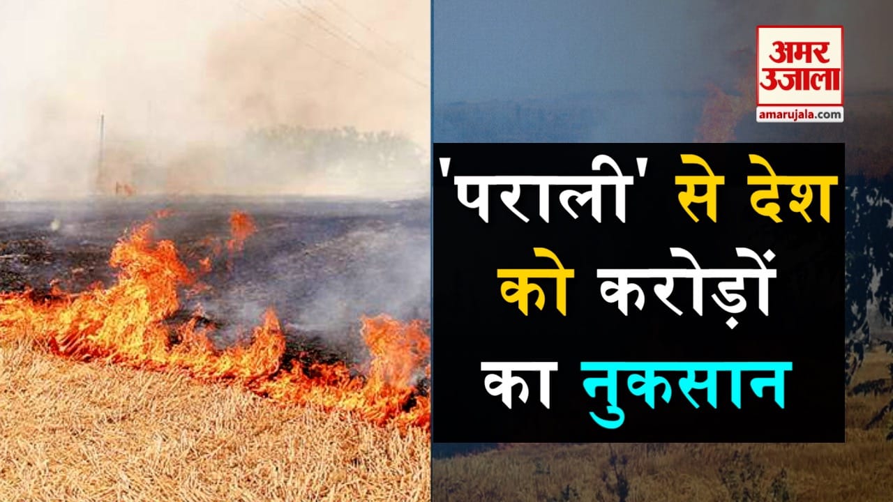 प्रतीकात्मक तस्वीर