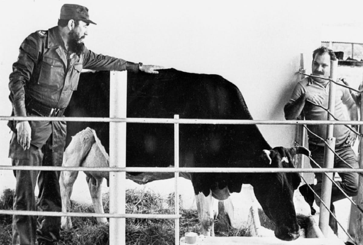 Cuba revolutionary leader and former president Fidel Castro had slept with 35000 women