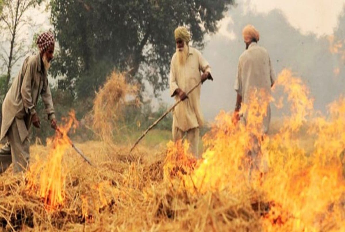 Supreme court says Farmers cannot kill others for their livelihood