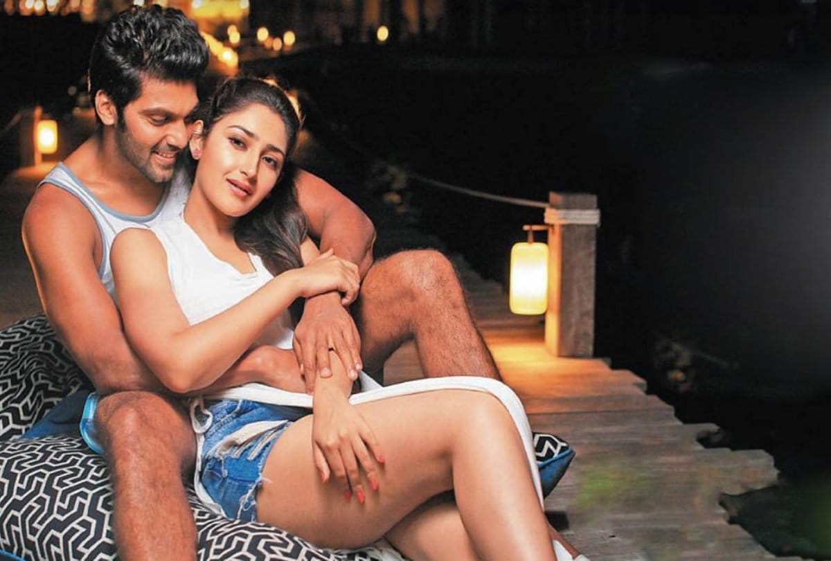 Dilip Kumar Granddaughter Sayesha Saigal Will Married South Actor Arya -  Entertainment News: Amar Ujala - 21 साल की ये एक्ट्रेस करने वाली हैं 17 साल  बड़े एक्टर से शादी, बॉलीवुड के