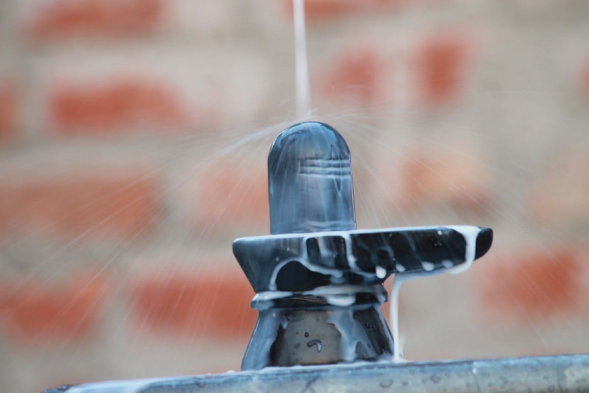 mahashivratri 2020 rudrabhishek importance significance benefits and importance