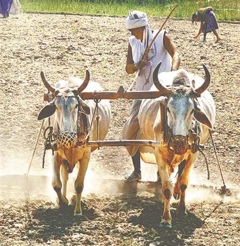 PM farmer's honor fund fund returned in six hours