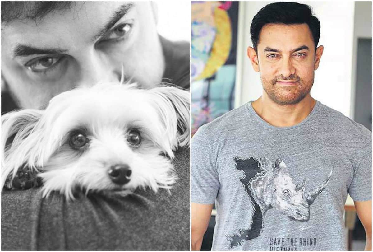 After Priyanka Chopra Aamir Khan shared adorable picture of dog Imli