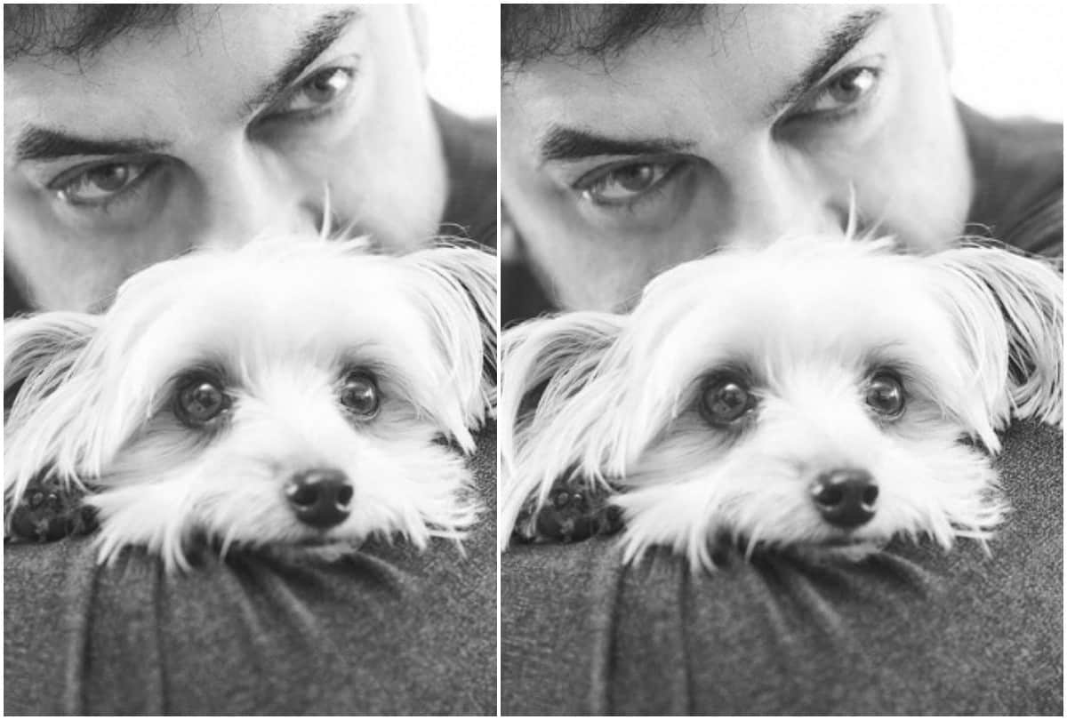 After Priyanka Chopra Aamir Khan shared adorable picture of dog Imli