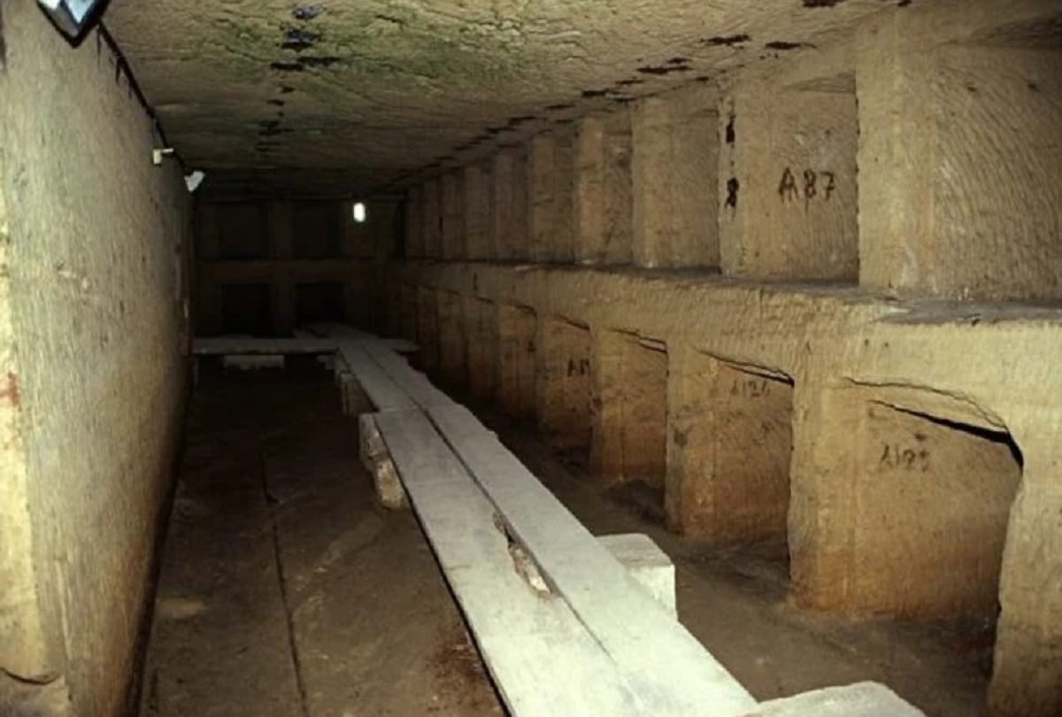 Donkey discovered Catacombs of Kom El Shoqafa accidentally in 1900