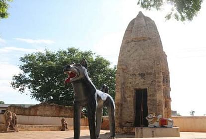 भारत में इस जगह होती है कुत्ते की पूजा, कुकुरदेव मंदिर की अजीबोगरीब मान्यता जान कर हो जाएंगे हैरान - Kukurdev Temple Of Chhattishgarh Is Famous For Dog Worship - Amar Ujala