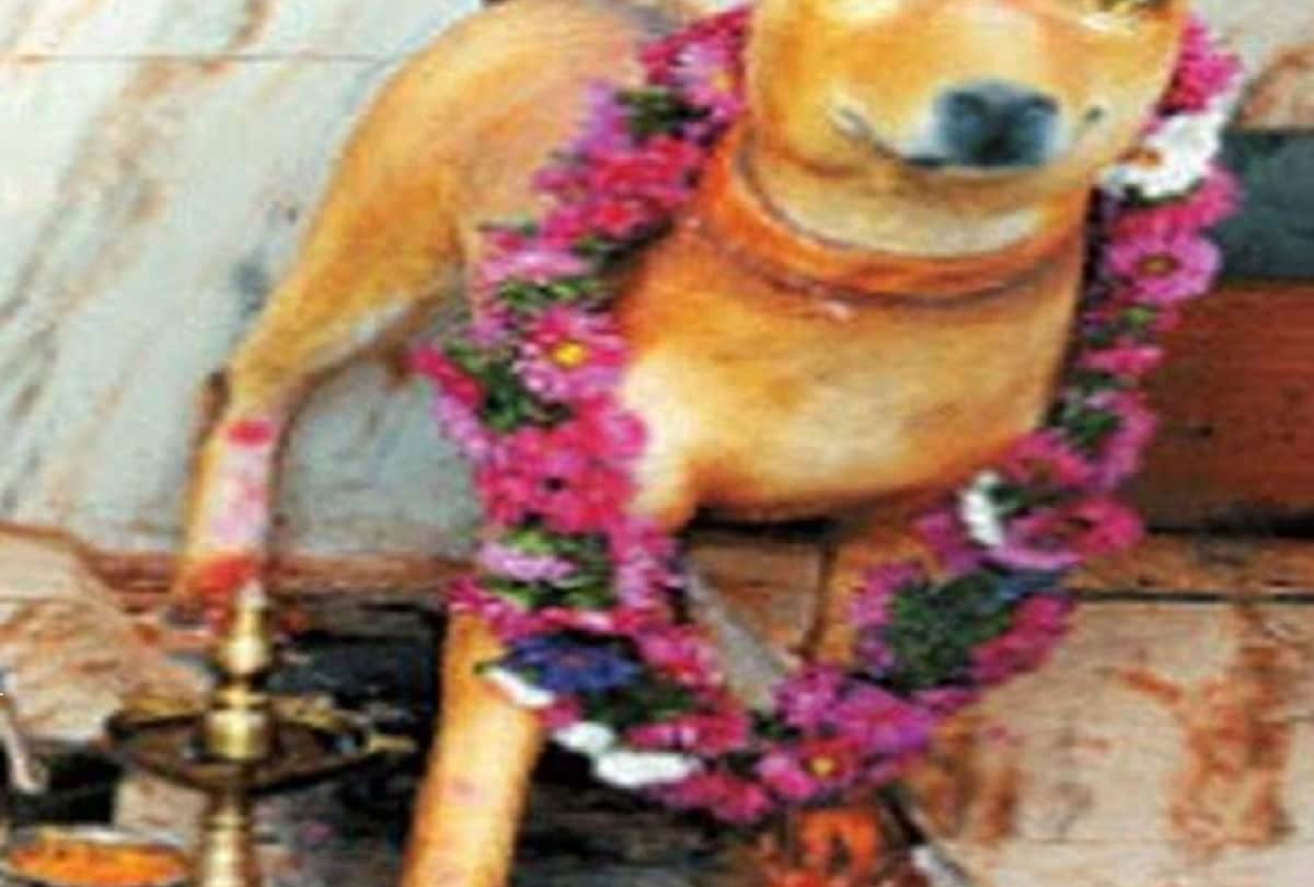 chhattisgarh kukurdev temple famous for dog worship