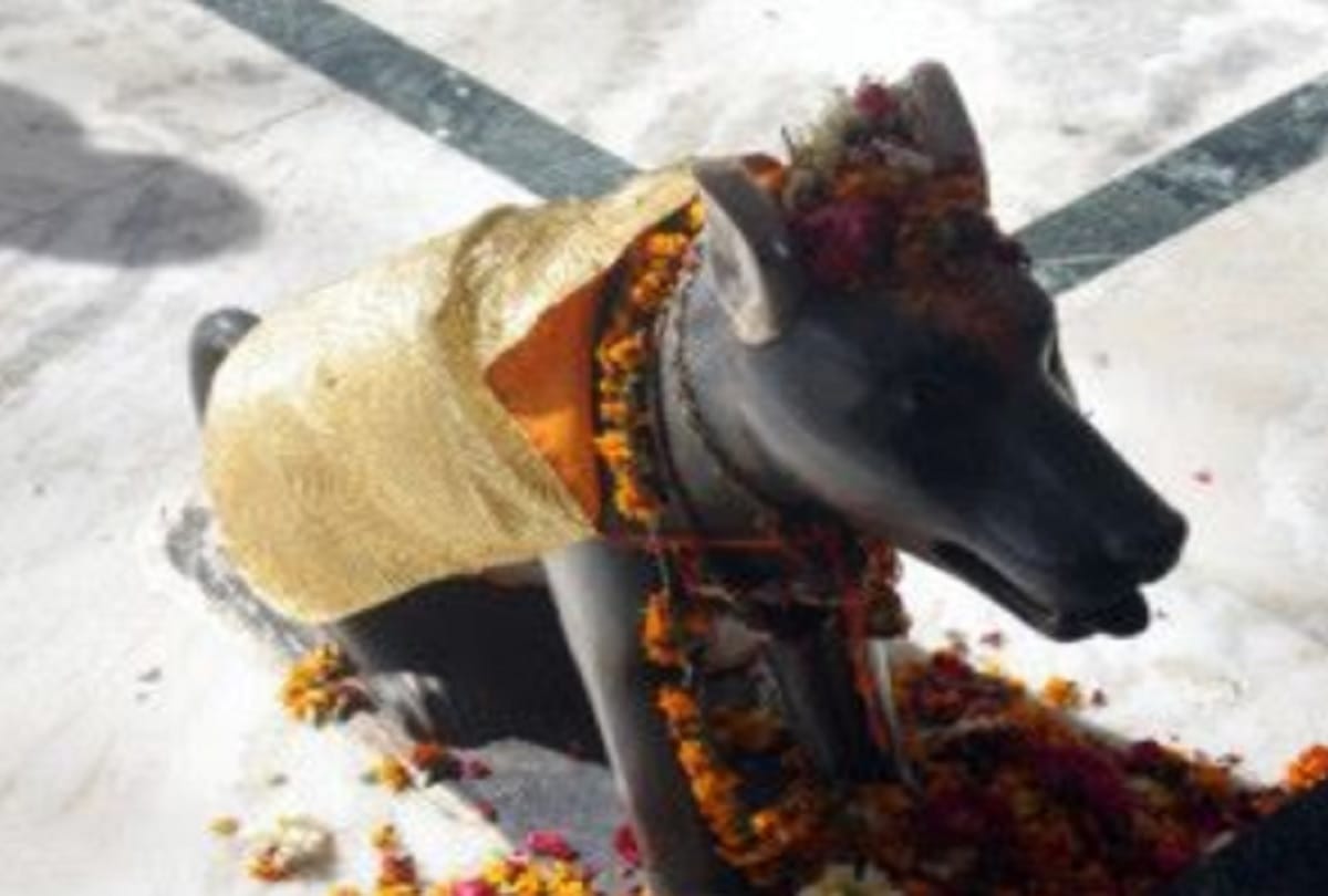 chhattisgarh kukurdev temple famous for dog worship