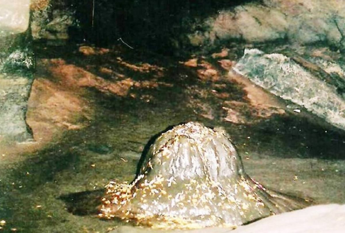 Lord Ganesha severed head is still present in Patal Bhuvaneshwar Cave