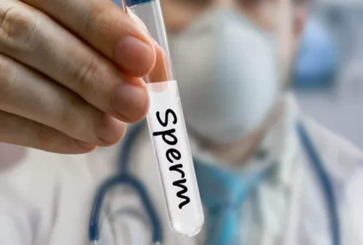 Bad diets are to blame for plummeting sperm counts,study finds