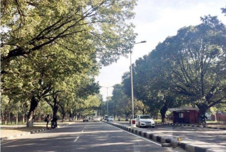 Swachh Survekshan 2019, Chandigarh on 20th Number in Cleanest City List