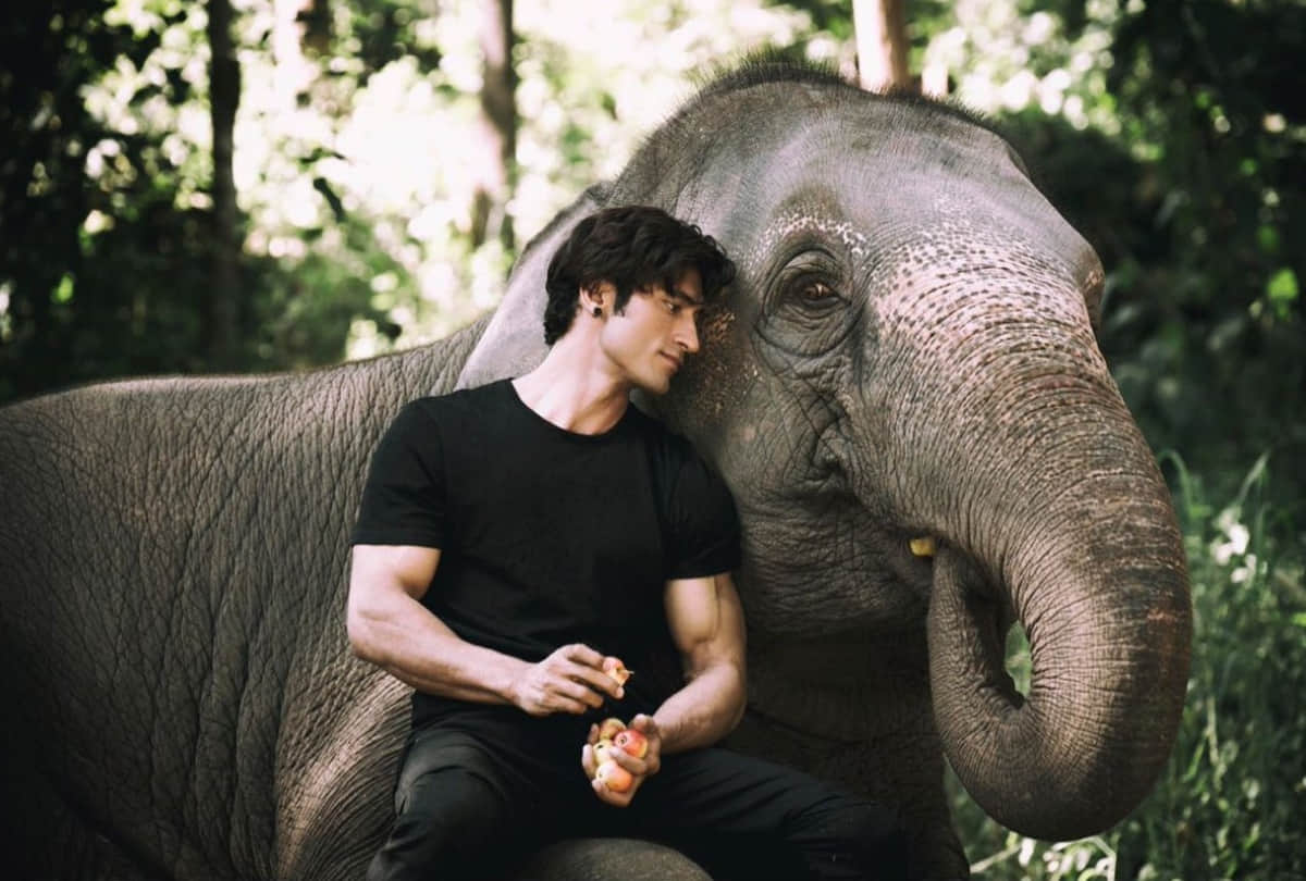 Vidyut Jammwal Stunts before release Junglee