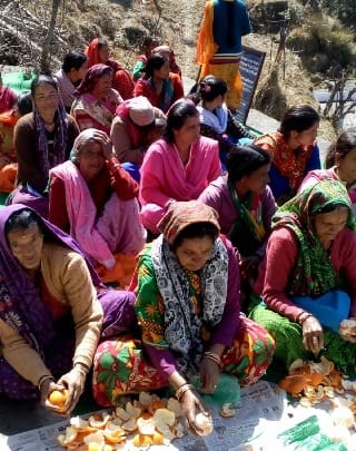 Training of fruits and vegetables preserved for women
