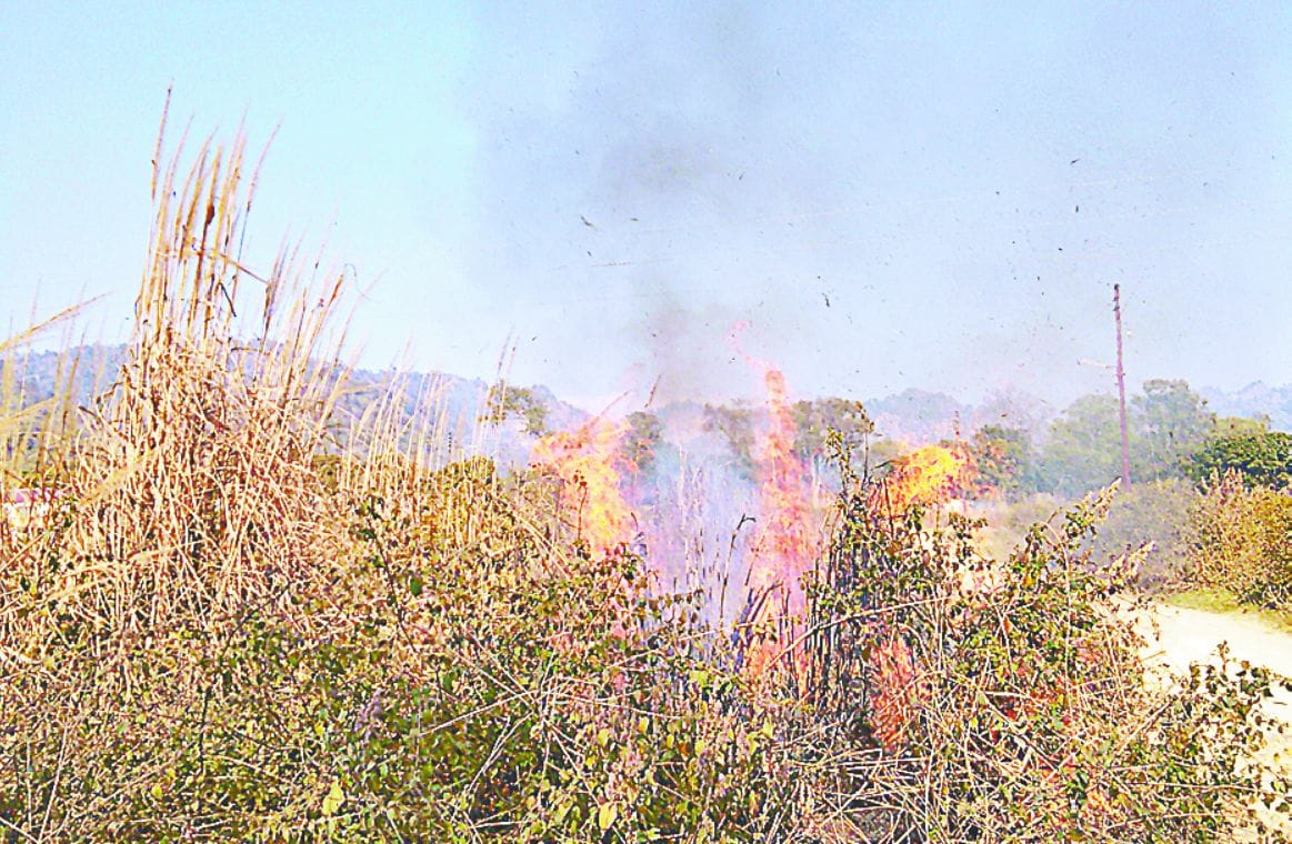 A fire in the carbet tiger reserve