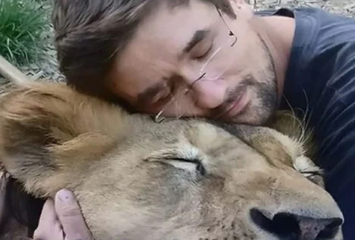 czech man killed by pet lion in cage he kept in his backyard police shoot this animal