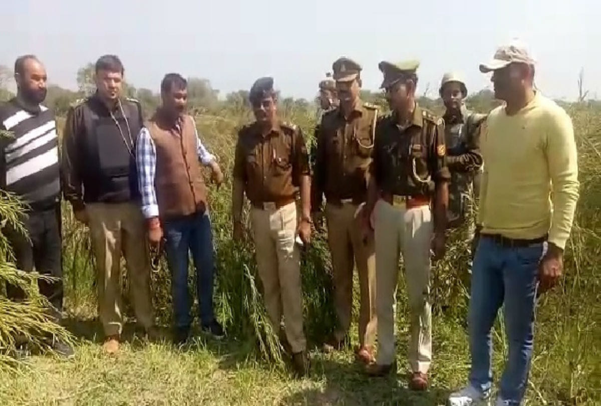 arrested wanted criminal after police encounter in mathura