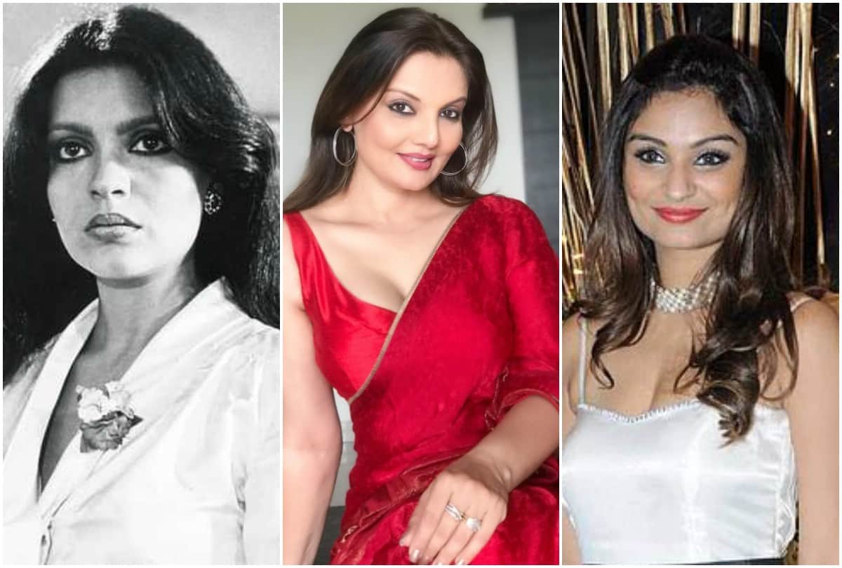 Arzoo Govitrikar to Zeenat Aman Bollywood 10 actress beaten by husband