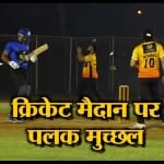 क्रिकेट