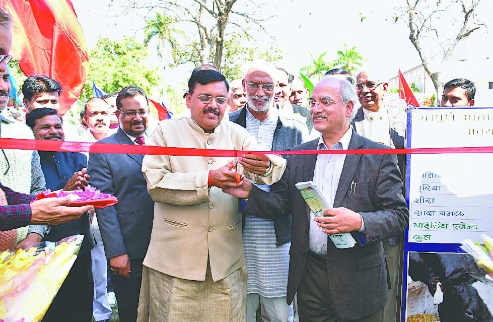 This time the cultivation of new rounds