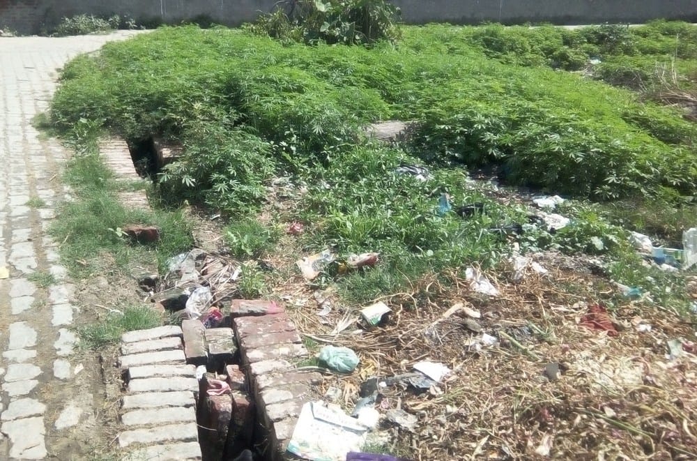 problems in ward 4
