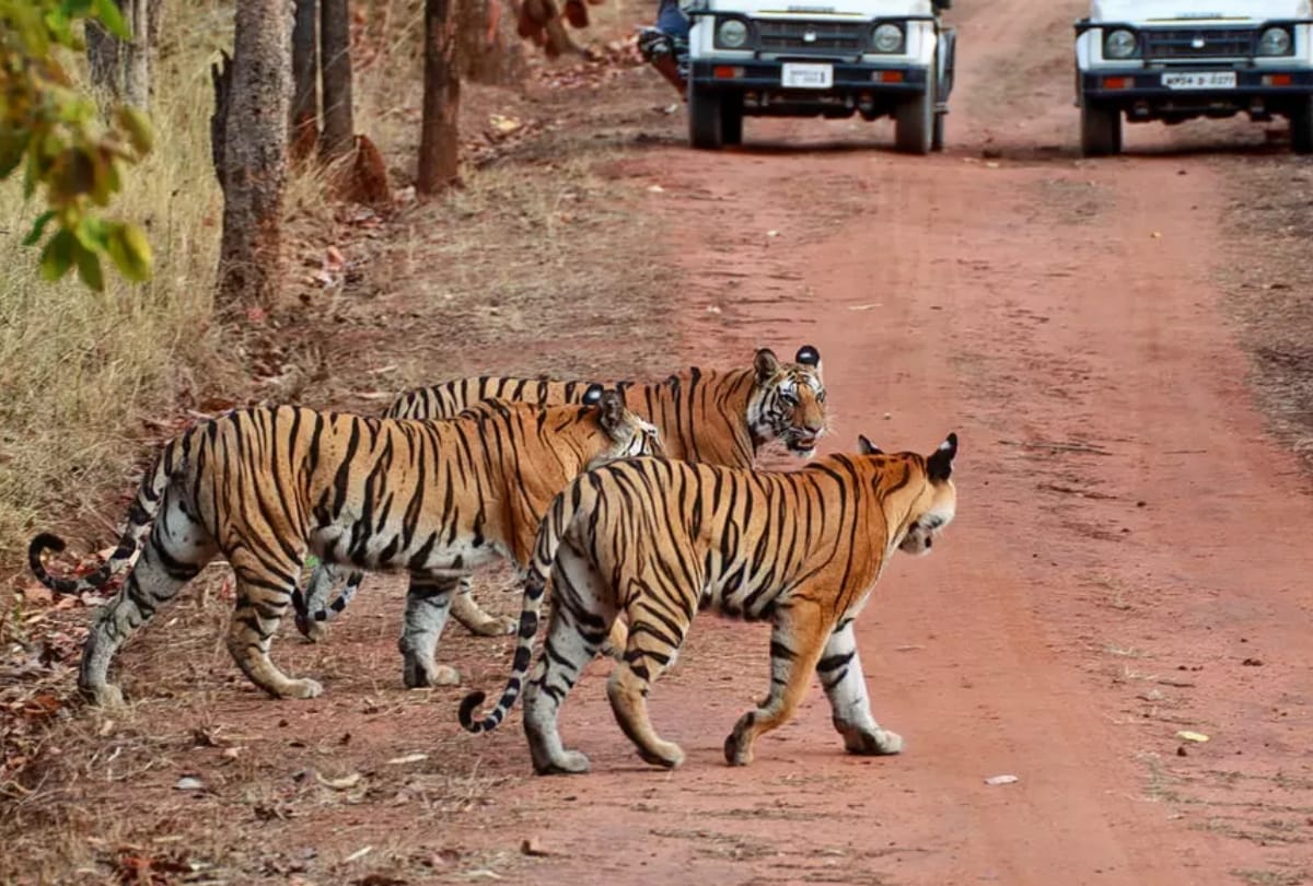 five reason you should definitely visit chhattisgarh