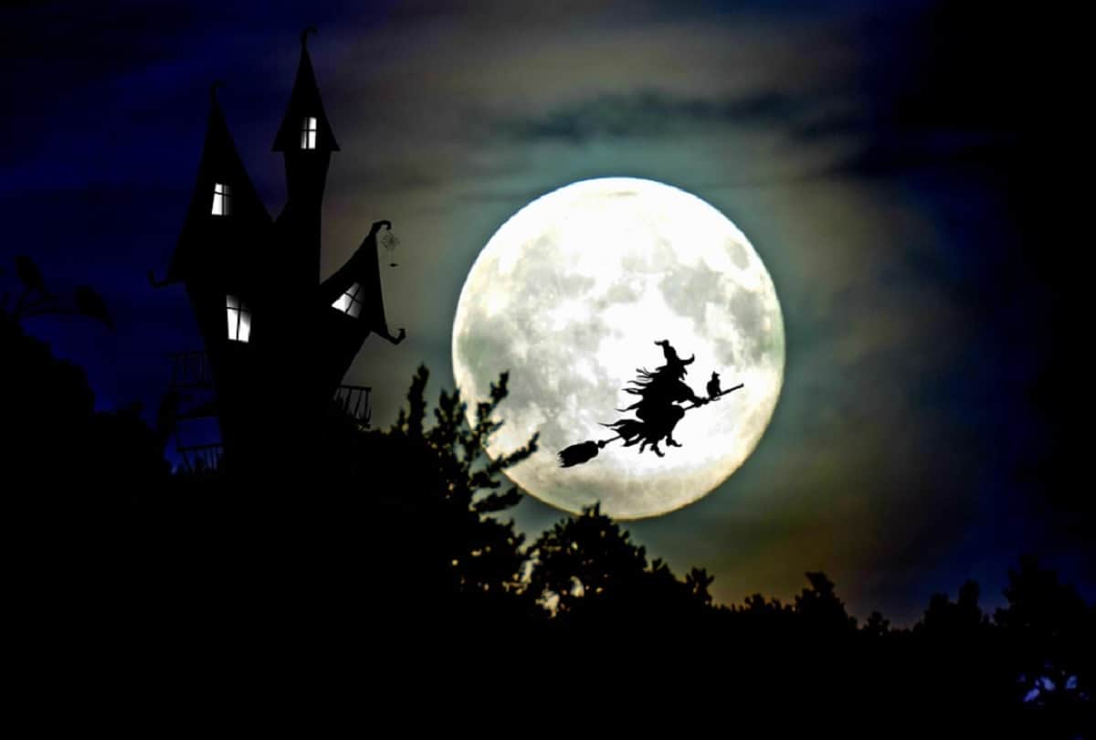 Man horrified after finding girlfriend creepy box in wardrobe