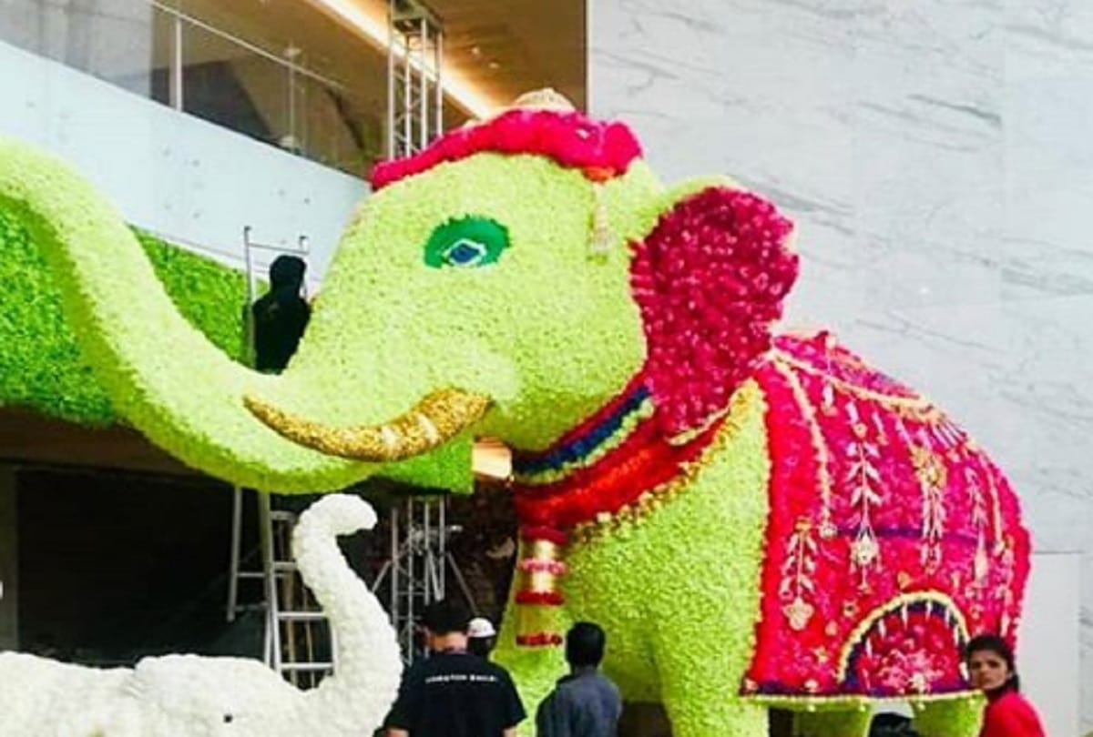 Akash Ambani Shloka Mehta wedding inside decoration pictures leaked
