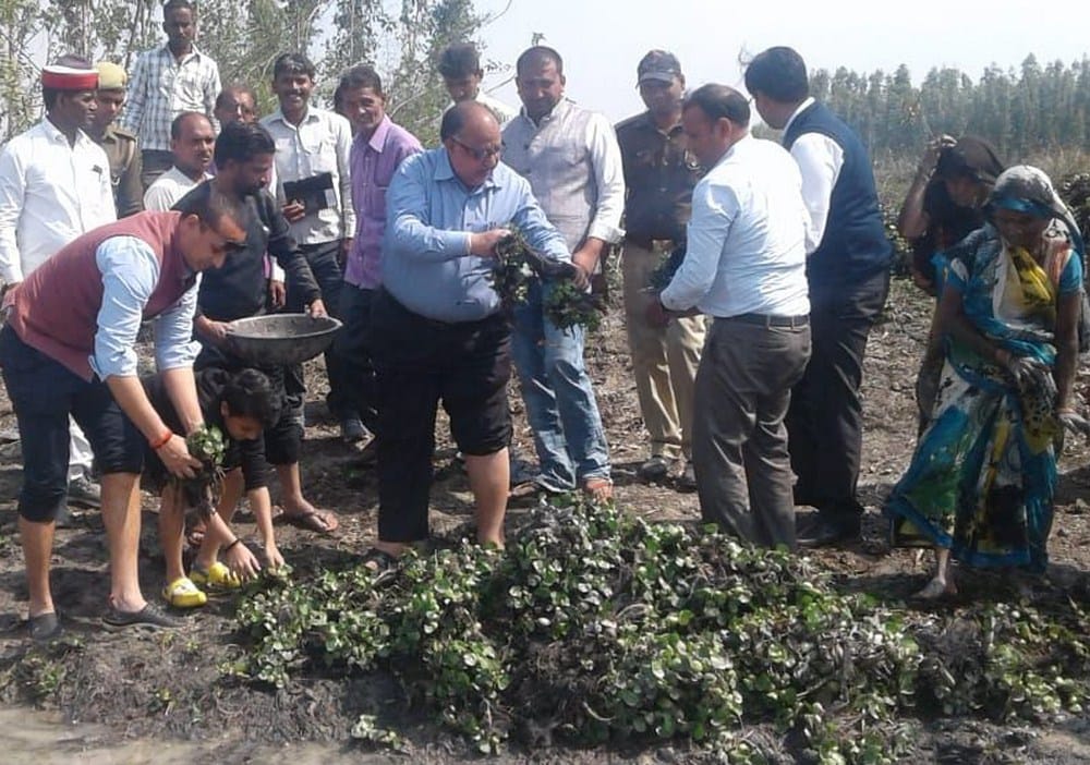 dm cleaned manorama river