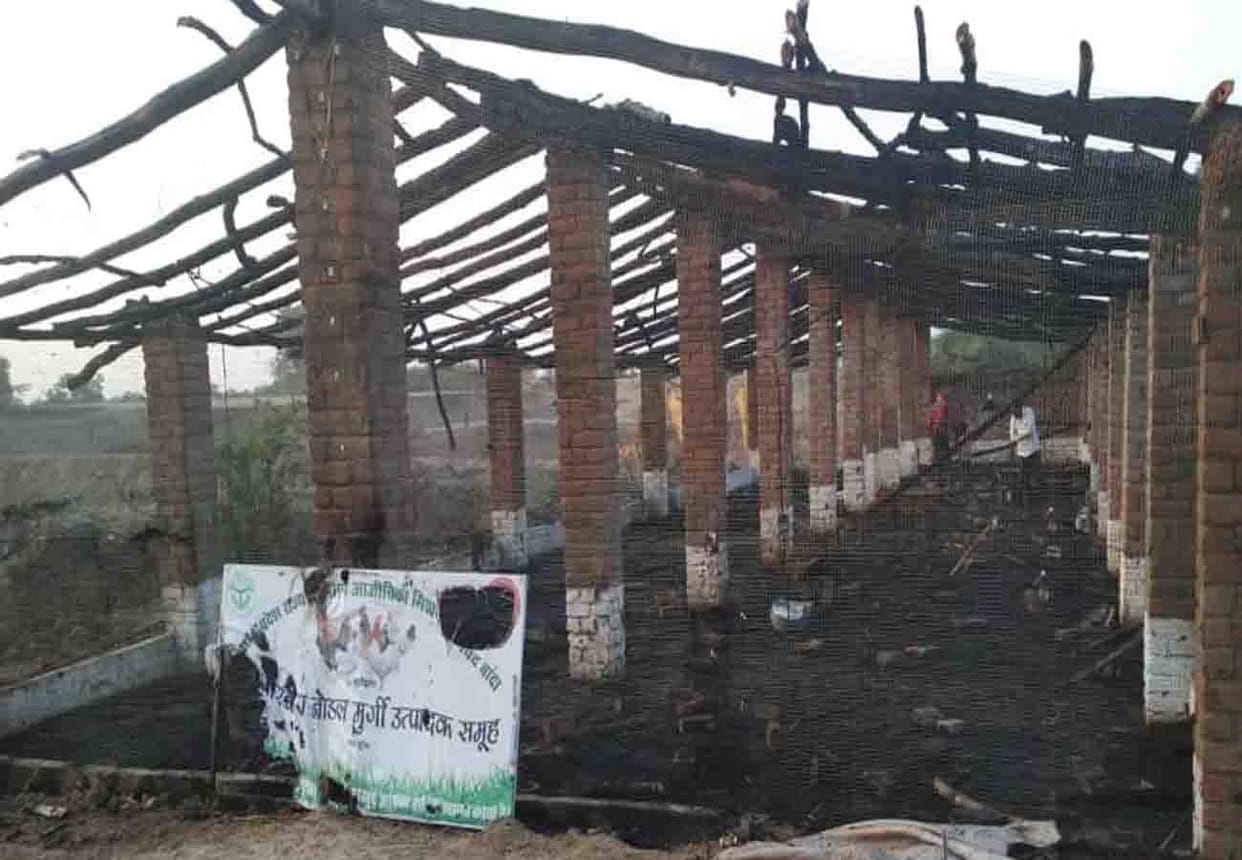 fire in poultry farm in banda