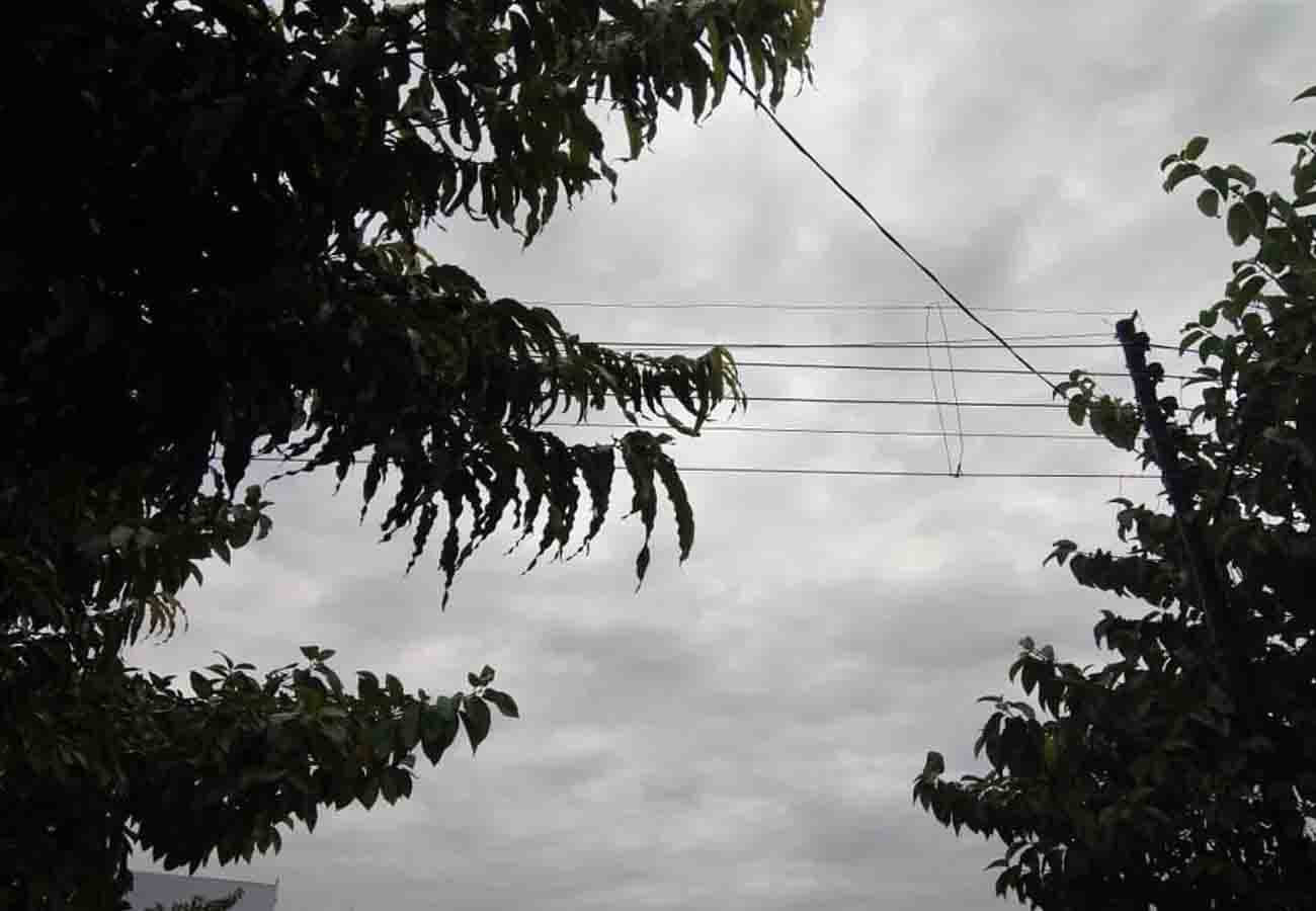 latest news update related to weather department