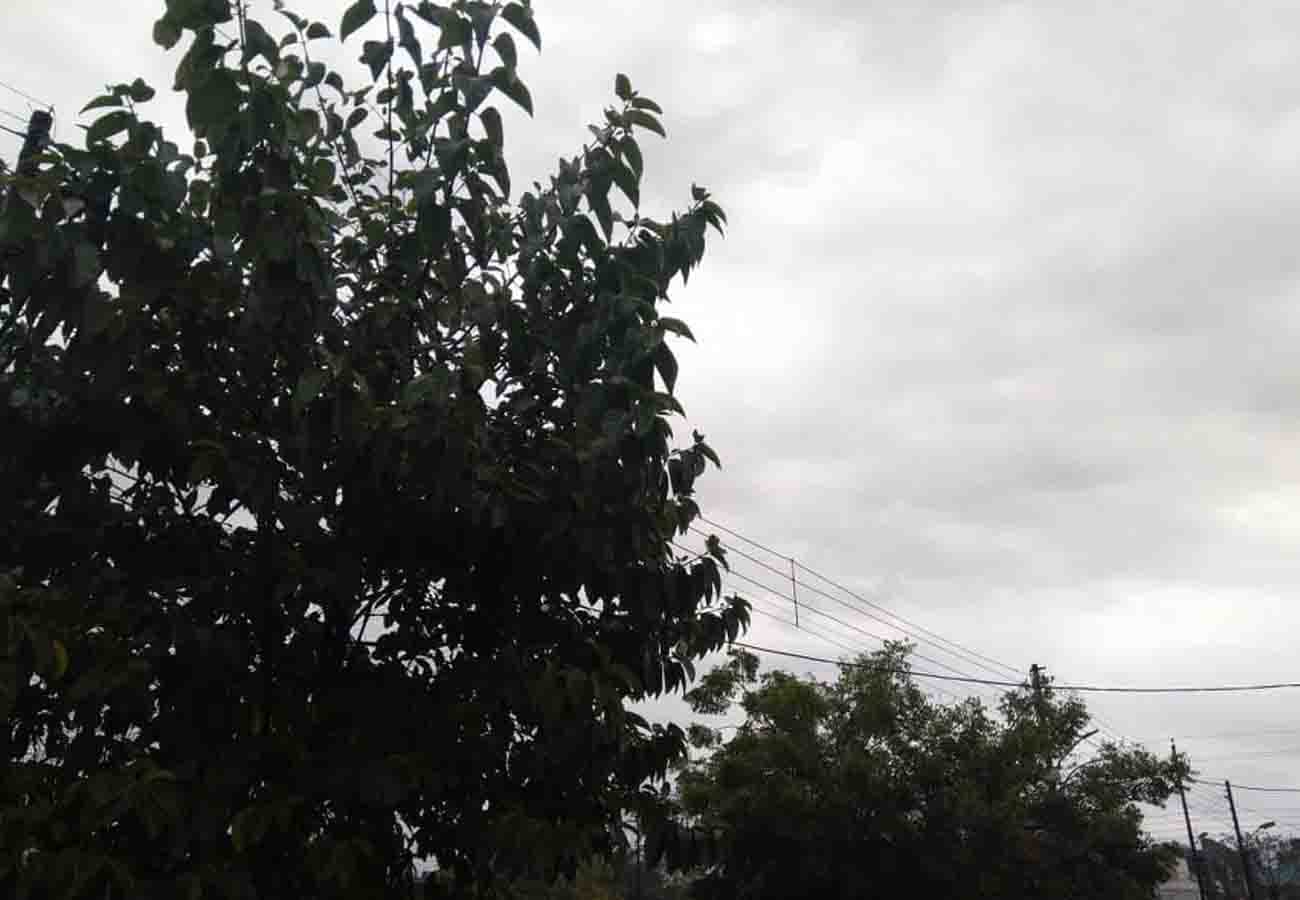 latest news update related to weather department